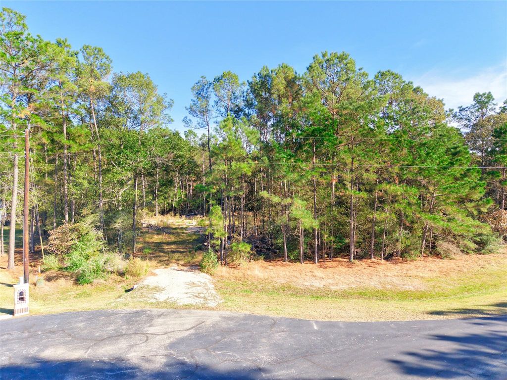 17539 Julianne Drive, Waller, TX 77484