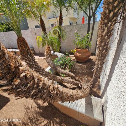 18636 N 4th Drive, Phoenix, AZ 85027