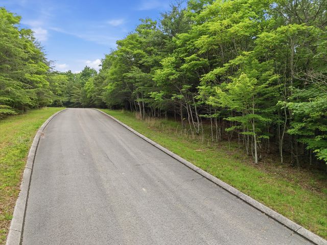 0 Bluff View Drive 19a, Dunlap, TN 37327