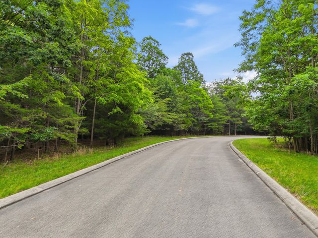 0 Bluff View Drive 19a, Dunlap, TN 37327