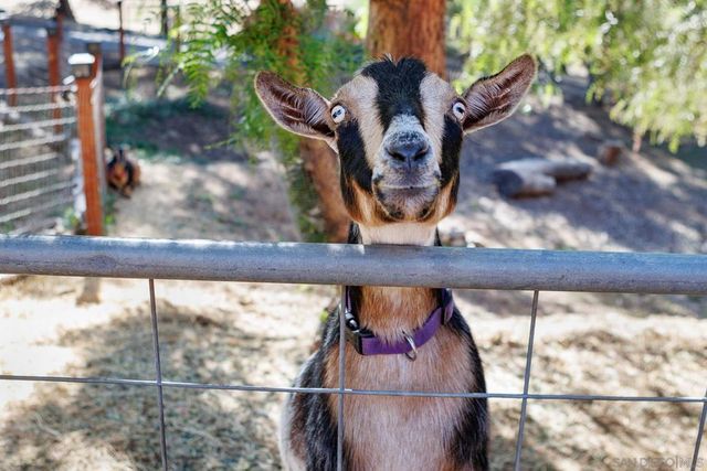 12052 Sky View Dr, Valley Center, CA 92082