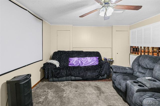 1717 W Belle Street, Belleville, IL 62226