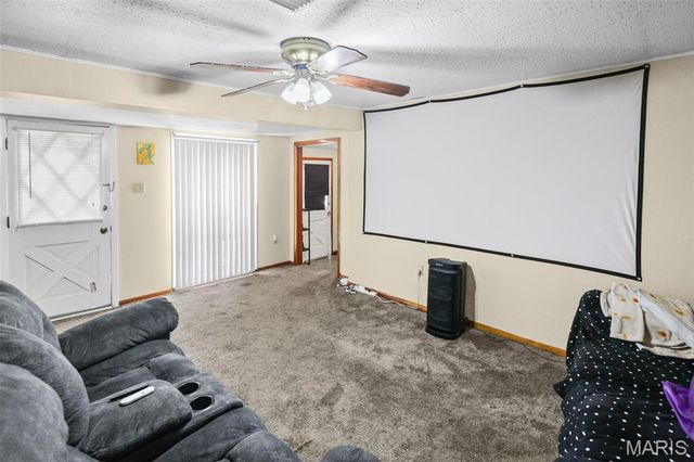 1717 W Belle Street, Belleville, IL 62226
