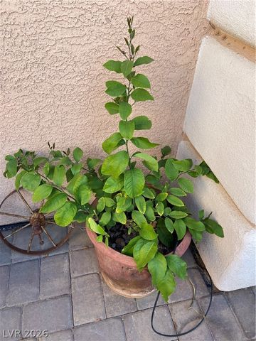 9867 Wonderful Day Drive, Las Vegas, NV 89148