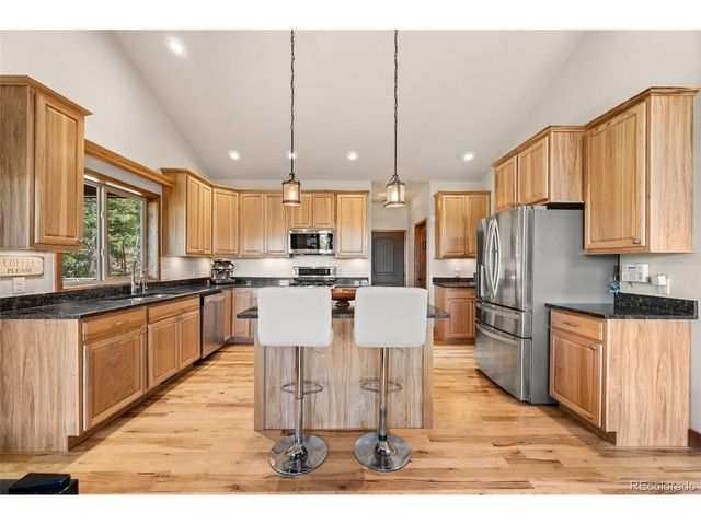 21 Hummingbird Ct, Bailey, CO 80421