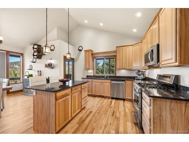 21 Hummingbird Ct, Bailey, CO 80421