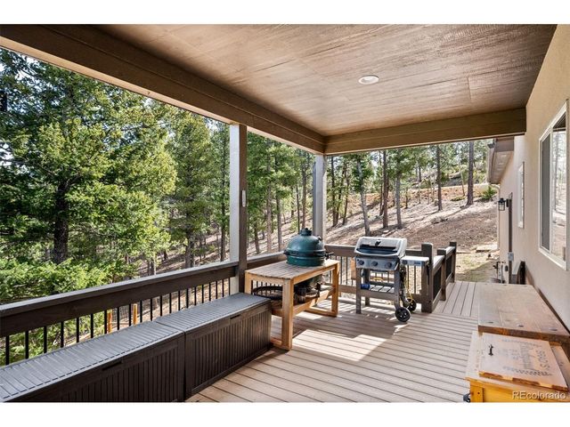 21 Hummingbird Ct, Bailey, CO 80421
