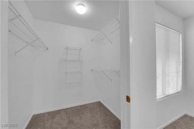 698 South Racetrack Road 1411, Henderson, NV 89015