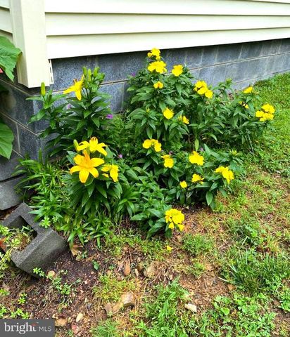 184 WINTER ROAD, Paw Paw, WV 25434
