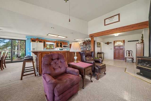 14206 Williams Rd, Pioneer, CA 95666