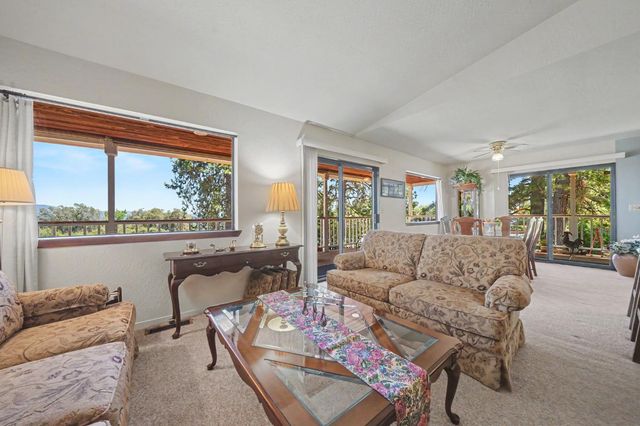 14206 Williams Rd, Pioneer, CA 95666