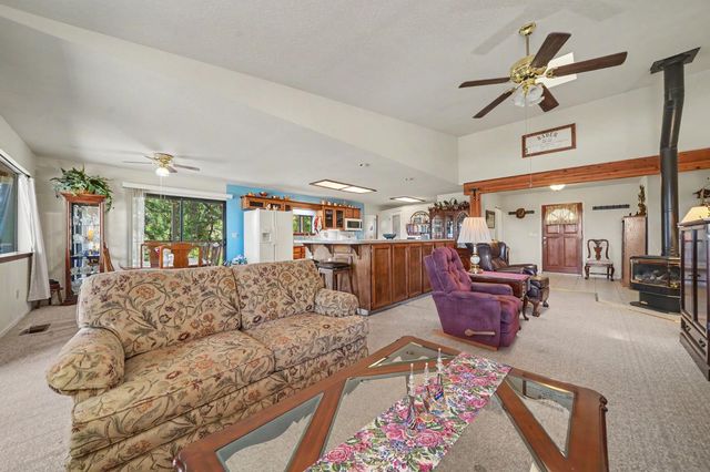 14206 Williams Rd, Pioneer, CA 95666