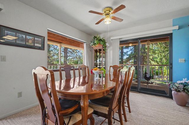 14206 Williams Rd, Pioneer, CA 95666