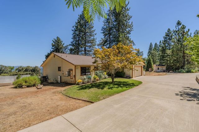 14206 Williams Rd, Pioneer, CA 95666