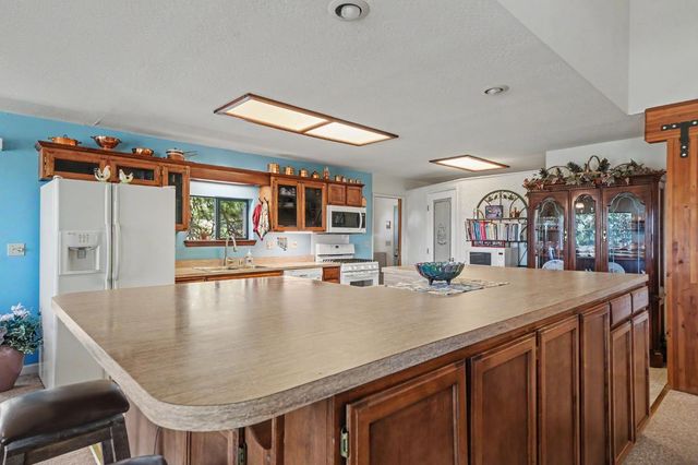14206 Williams Rd, Pioneer, CA 95666