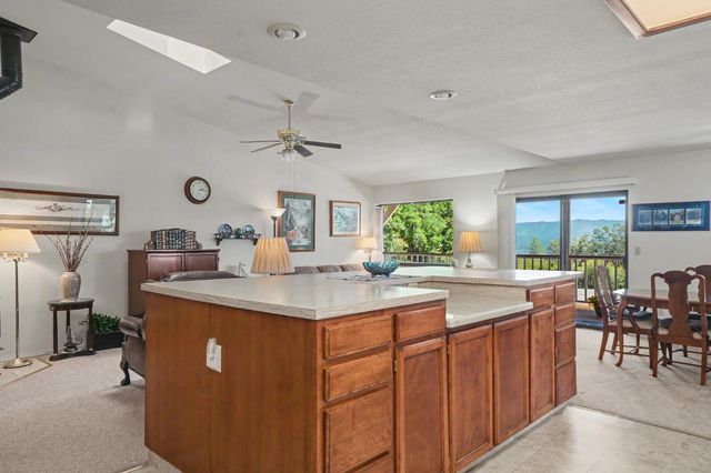 14206 Williams Rd, Pioneer, CA 95666