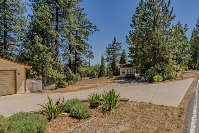 14206 Williams Rd, Pioneer, CA 95666