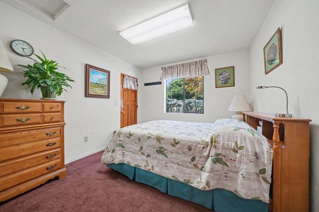 14206 Williams Rd, Pioneer, CA 95666