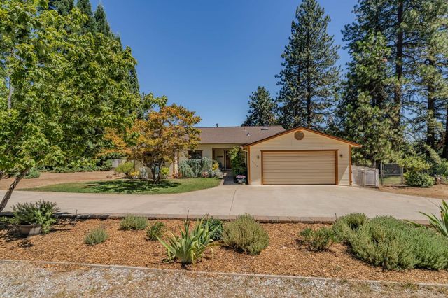 14206 Williams Rd, Pioneer, CA 95666