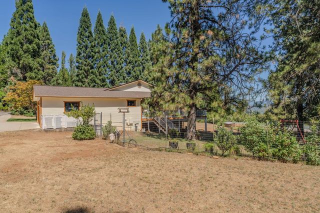14206 Williams Rd, Pioneer, CA 95666