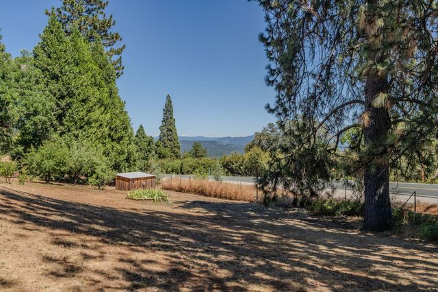 14206 Williams Rd, Pioneer, CA 95666