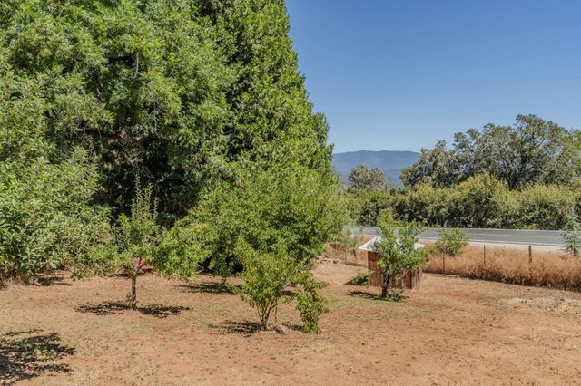 14206 Williams Rd, Pioneer, CA 95666