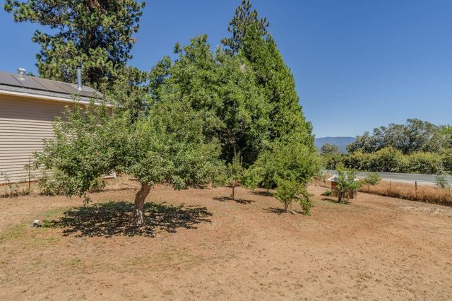 14206 Williams Rd, Pioneer, CA 95666