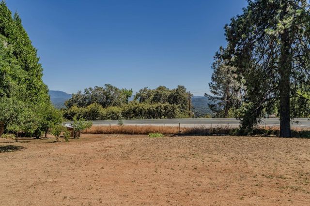 14206 Williams Rd, Pioneer, CA 95666