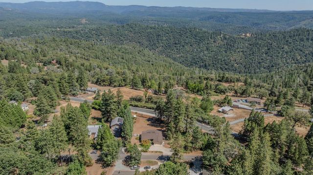 14206 Williams Rd, Pioneer, CA 95666