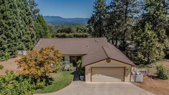 14206 Williams Rd, Pioneer, CA 95666