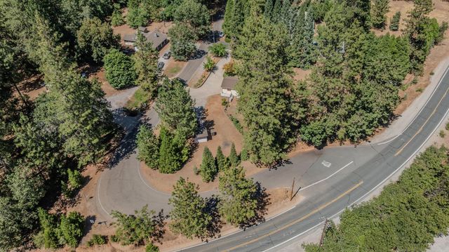 14206 Williams Rd, Pioneer, CA 95666