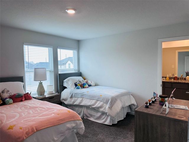 22114 Palo Dura Lane, Tomball, TX 77375