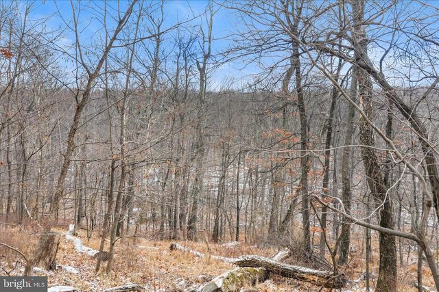 448 MAVERICK TRAIL, Hedgesville, WV 25427