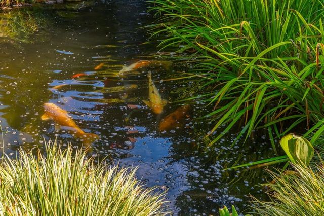 220 Edwards Brook Court, Canton, GA 30115