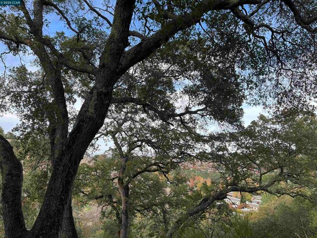 3120 Ptarmigan Dr. 3, Walnut Creek, CA 94595