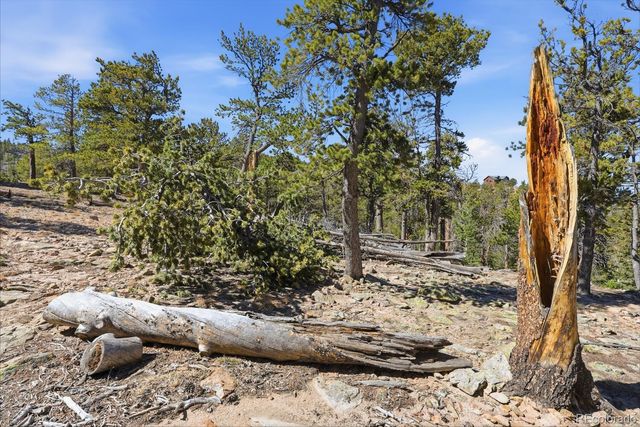 33149 Janelle Circle, Golden, CO 80403
