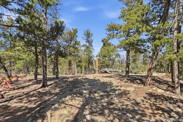 33149 Janelle Circle, Golden, CO 80403
