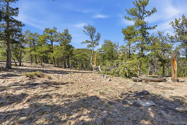 33149 Janelle Circle, Golden, CO 80403