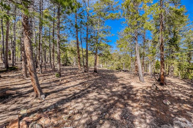 33149 Janelle Circle, Golden, CO 80403