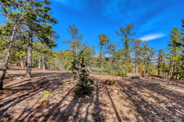 33149 Janelle Circle, Golden, CO 80403