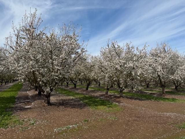 11776 Victory Ave, Oakdale, CA 95361