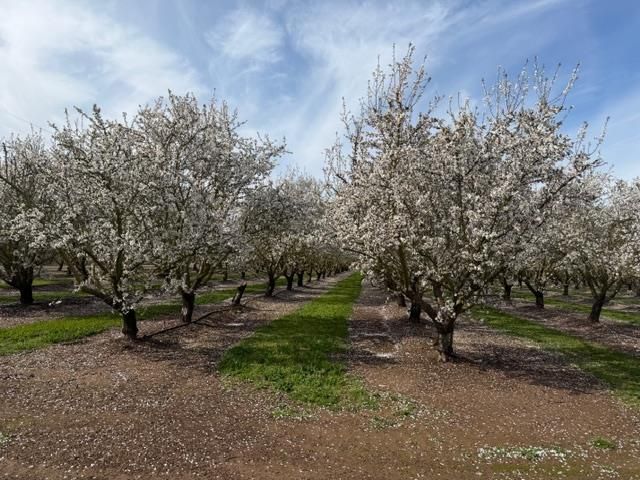 11776 Victory Ave, Oakdale, CA 95361