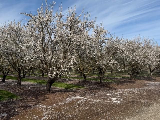 11776 Victory Ave, Oakdale, CA 95361