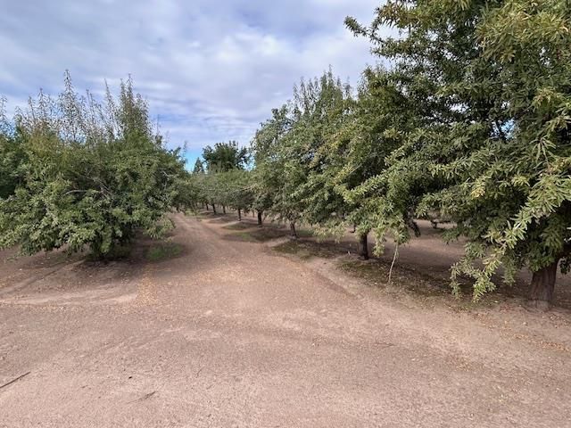 11776 Victory Ave, Oakdale, CA 95361