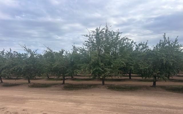 11776 Victory Ave, Oakdale, CA 95361