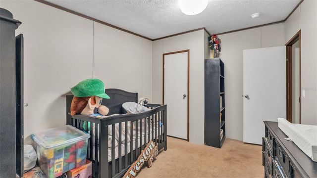 10536 OLD DADE CITY ROAD, Lakeland, FL 33810