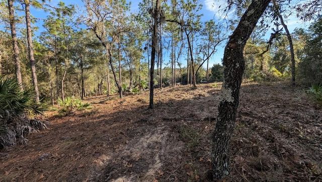 SW 53RD STREET, Ocala, FL 34481