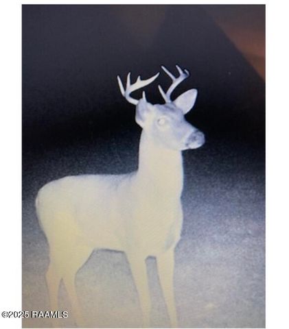 1219 Rue Du Belier, Lafayette, LA 70506