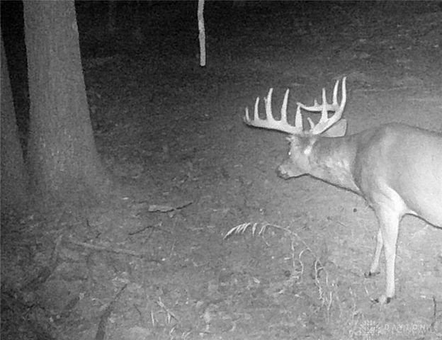 3526 Starling Road, Bethel Twp, OH 45106