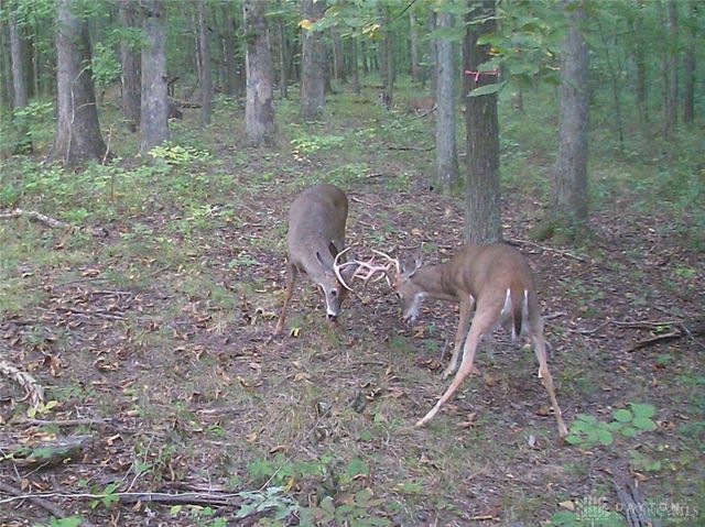 3526 Starling Road, Bethel Twp, OH 45106